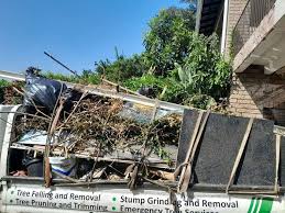 Best Moving and Downsizing Cleanouts  in Ontonagon, MI